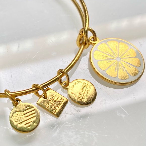 Alex and Ani Gold Charm Bracelet with Citrus Design - Picture 5 of 5